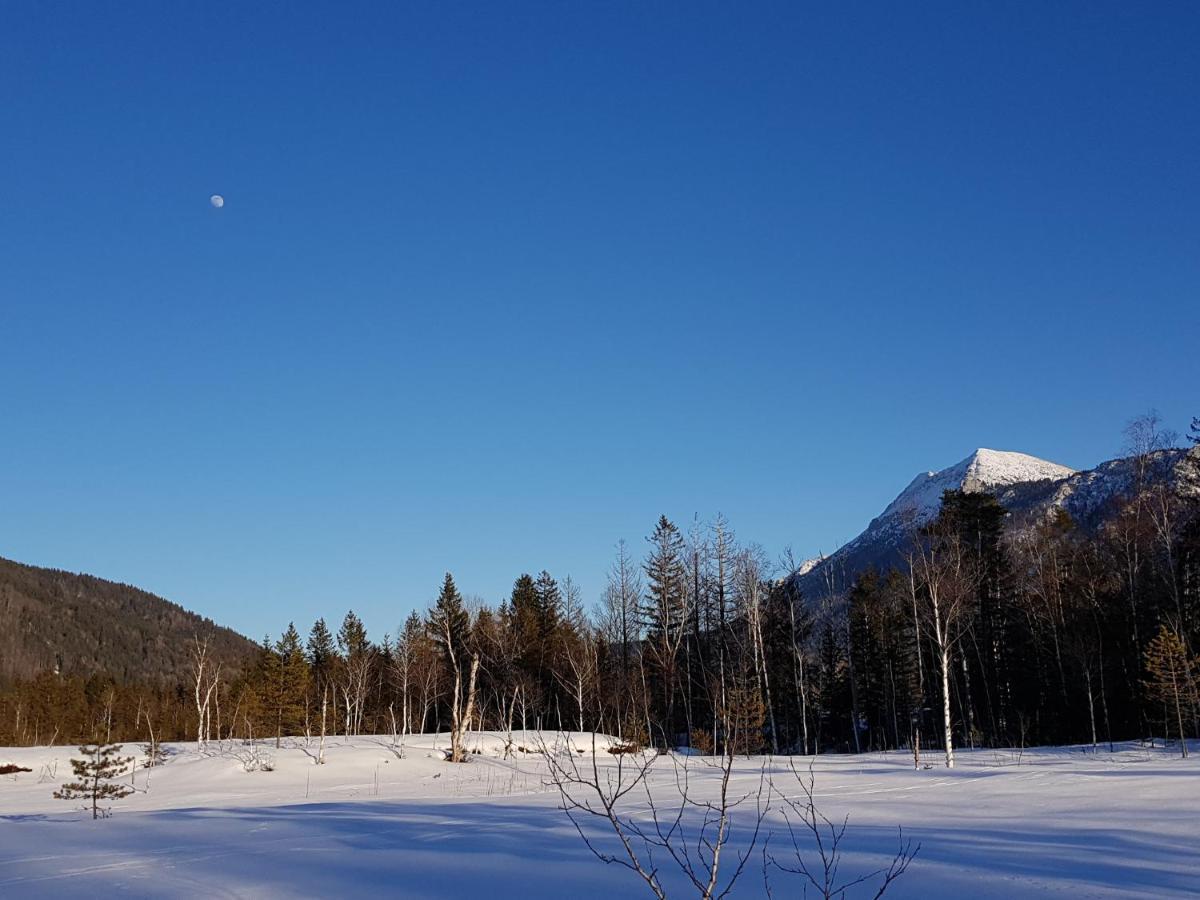 Apartament Zirbenstueberl - Chiemgau Karte Inzell Zewnętrze zdjęcie